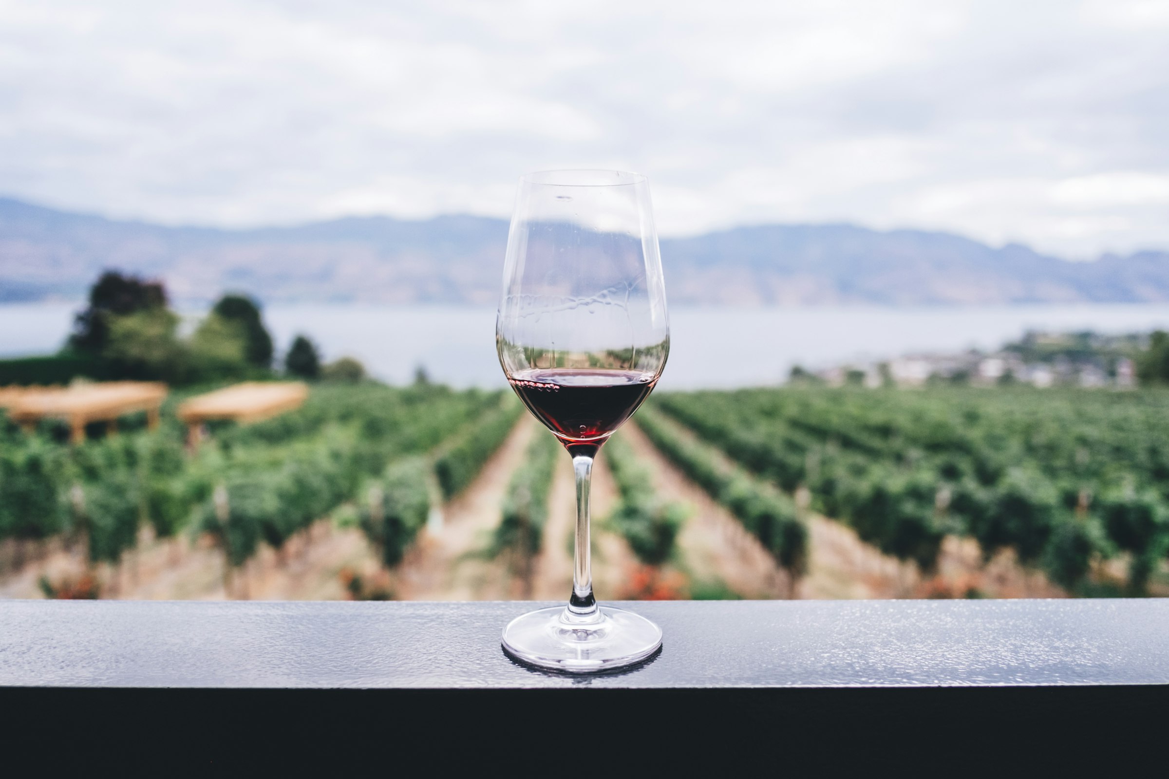 Wine Country