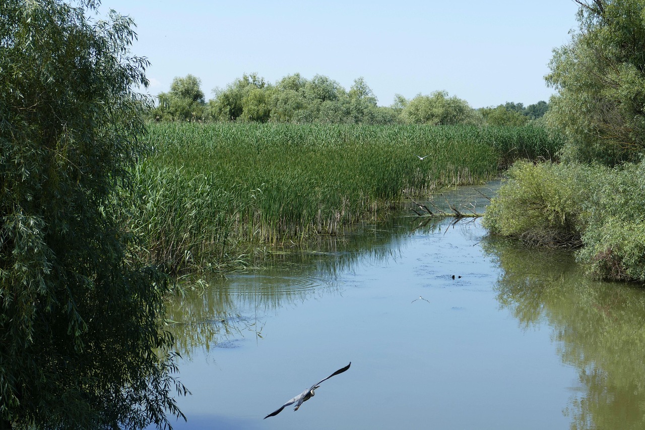 Danube Delta