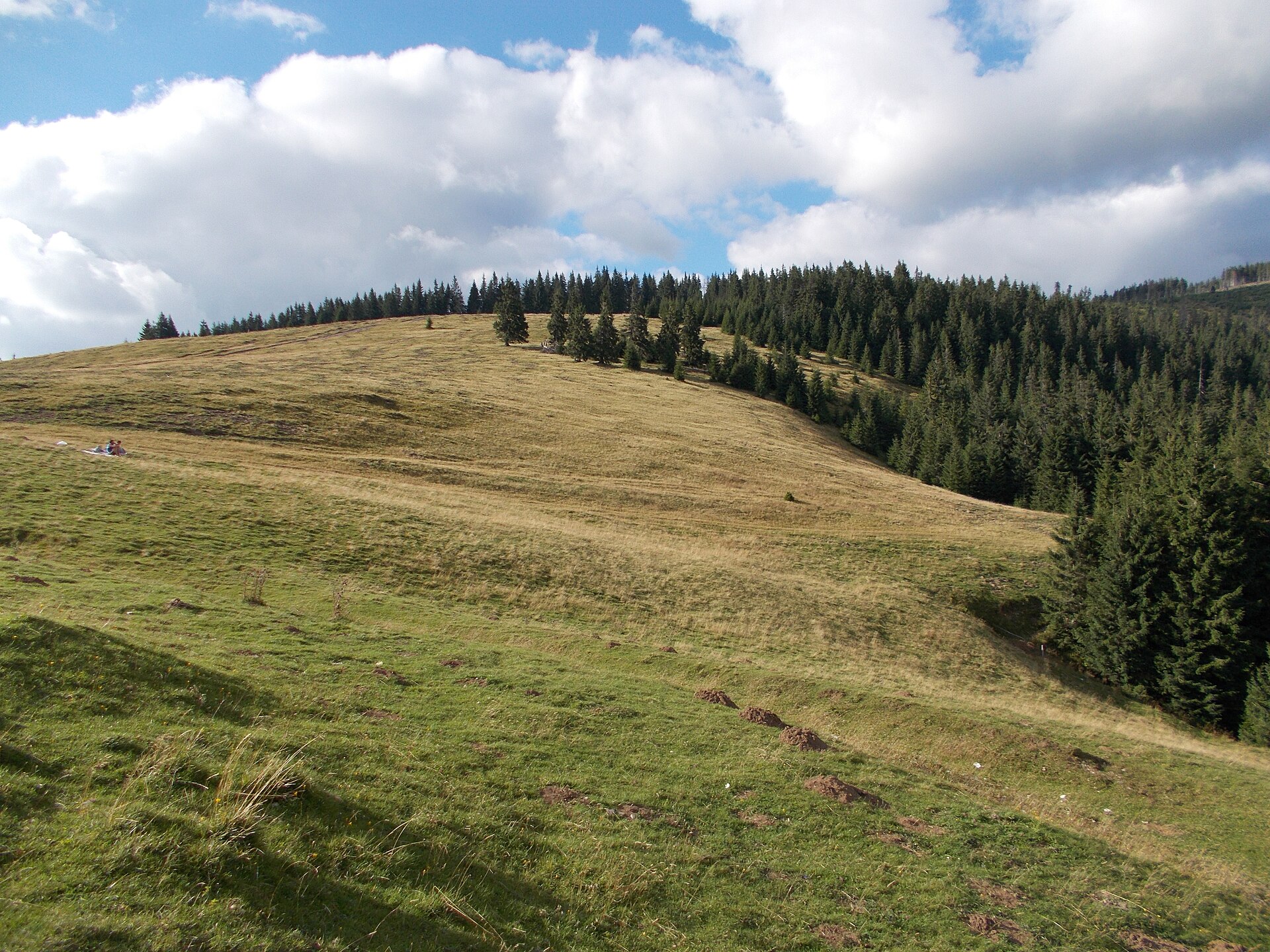 Padiș Plateau